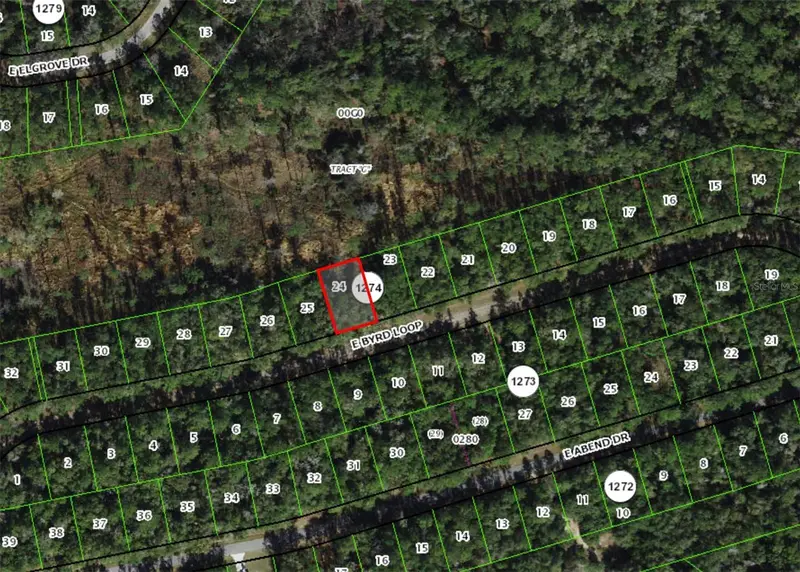 737 E Byrd Loop, FL
