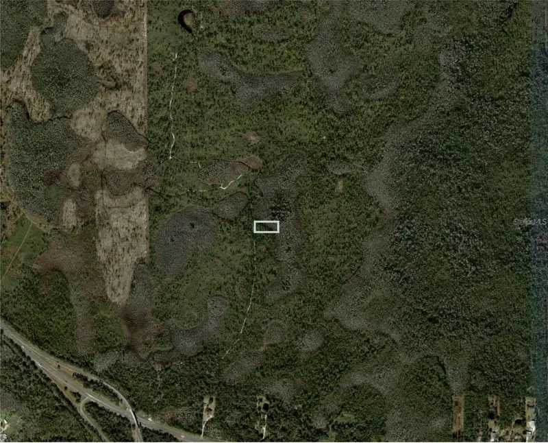 Dill Rd, FL