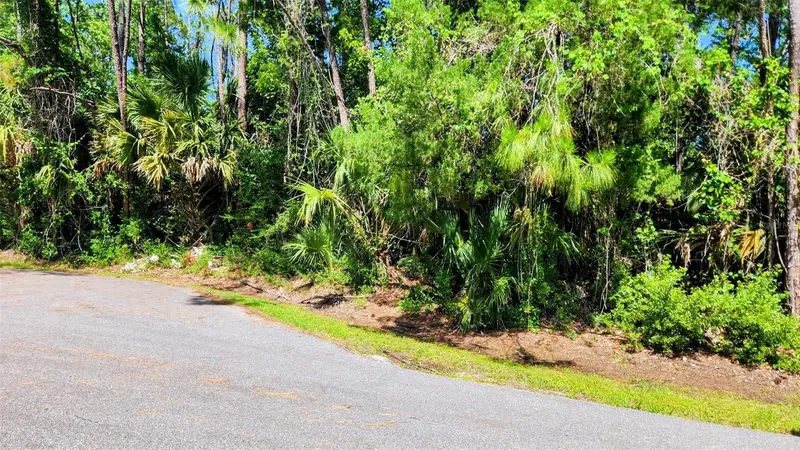 6 Rybar Pl, FL