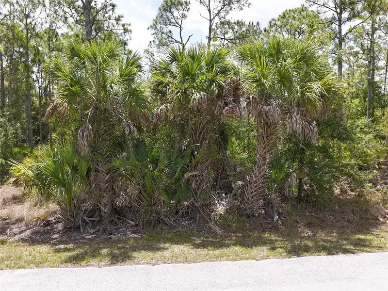 12226 Ripple Dr, FL