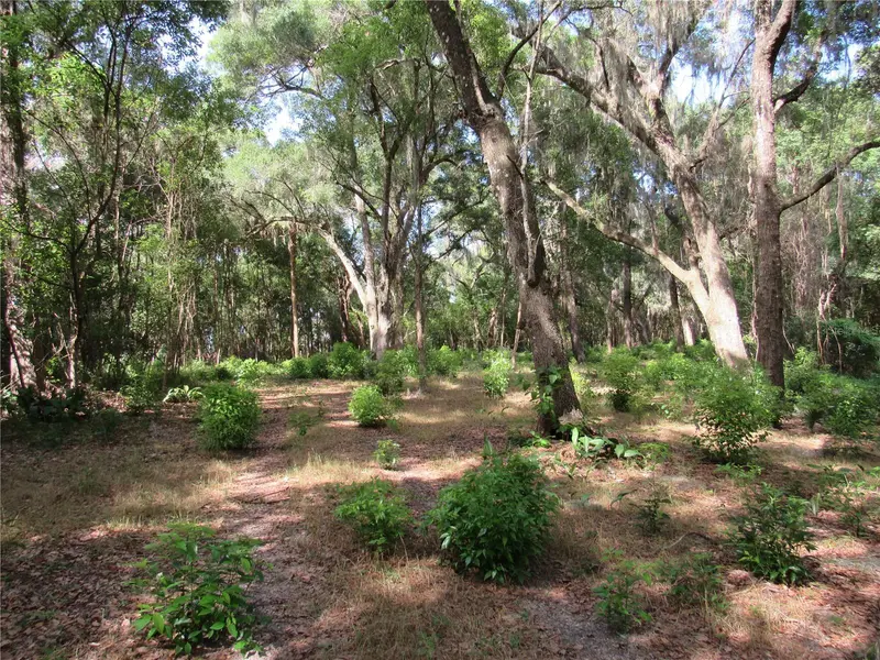 Oak Valley Dr, FL