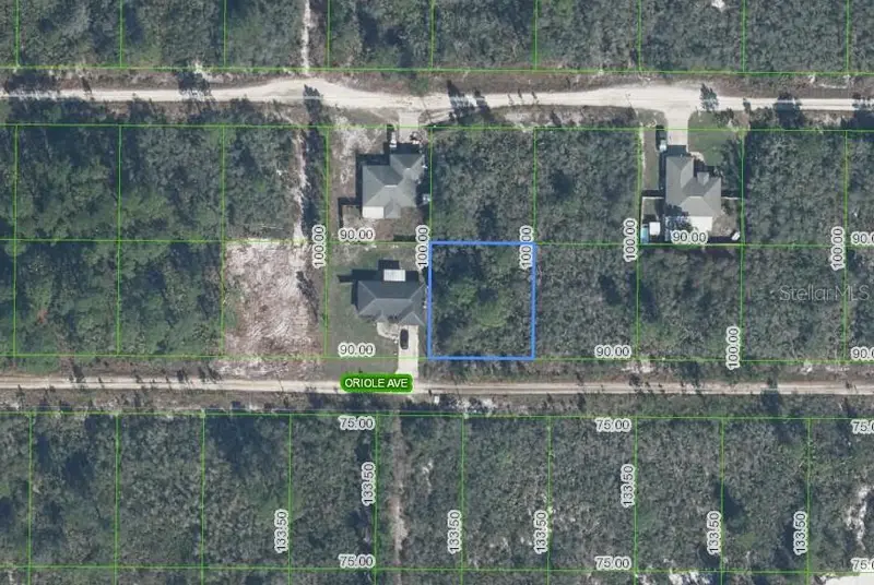 229 Oriole Ave, FL