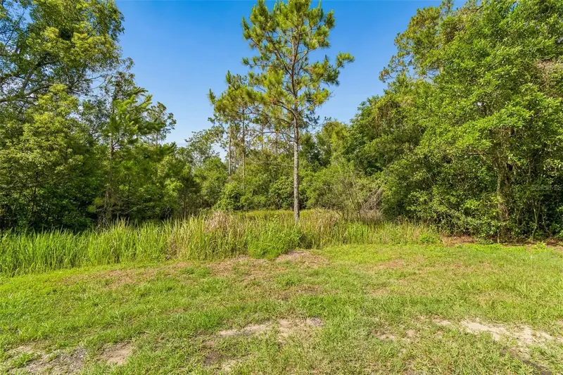 00 Hamrich, FL
