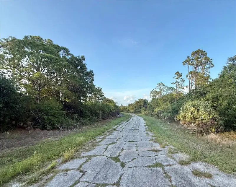 Lot 24 Hinshaw Ave, FL
