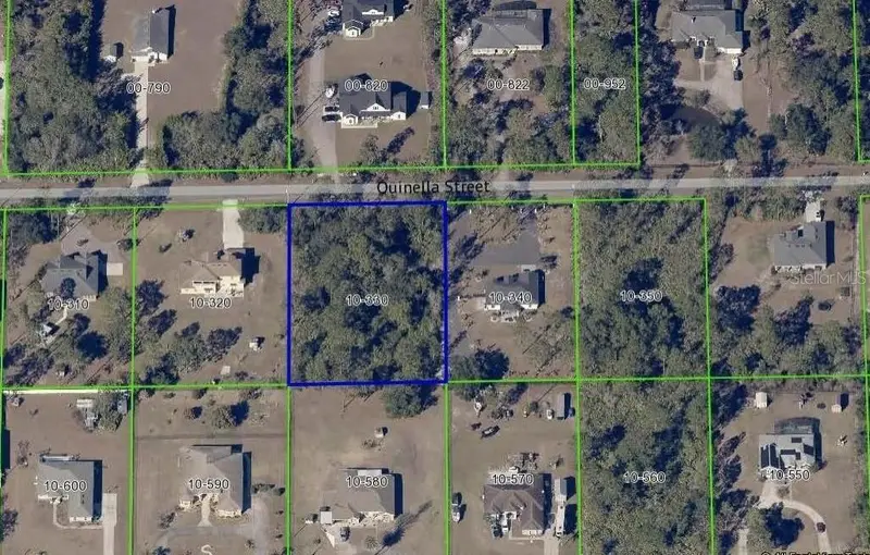 Quinella St, FL
