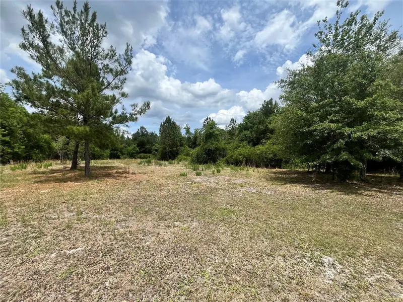 0 County Road 229, FL