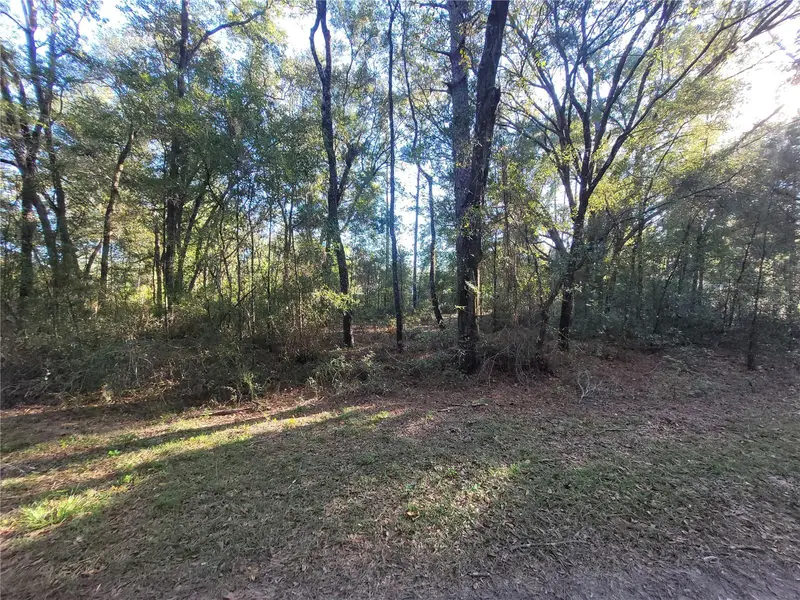 0 Sw 22nd Pl, FL