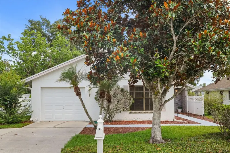 2518 Shadybranch Dr, FL