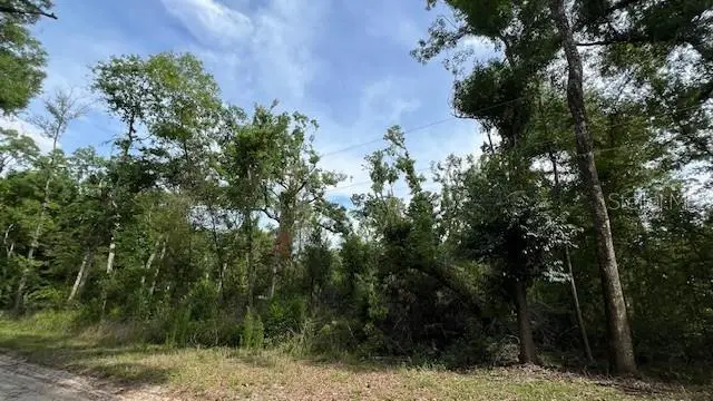 Sw Bumble St, FL