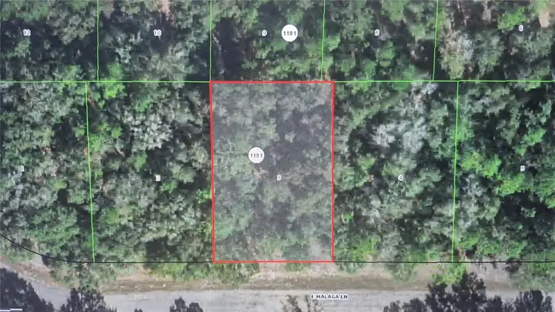593 E Malaga Ln, FL