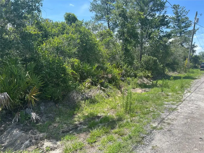 Waldor Ave, FL