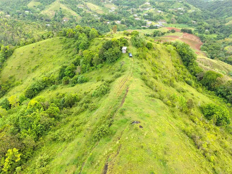 Pr 770 Km 2.9 Palo Hincado Ward, PR