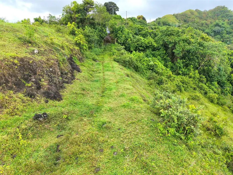 Pr 770 Km 2.9 Palo Hincado Ward, PR