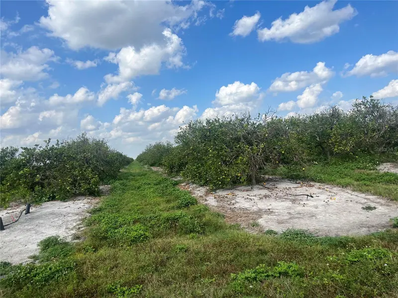 Ne Hwy 70, FL