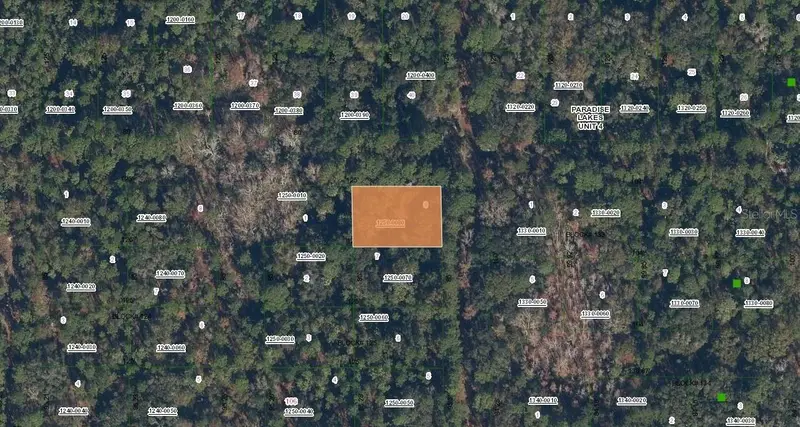 Spruce Dr, FL