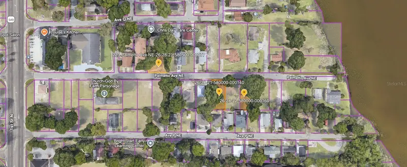 223 Palmetto Ave Ne, FL