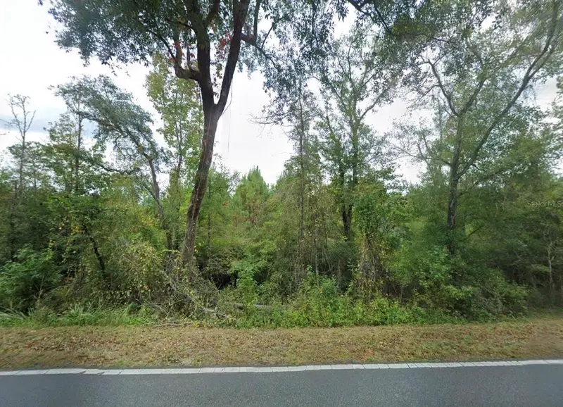 11473 Bud Henry Pl, FL