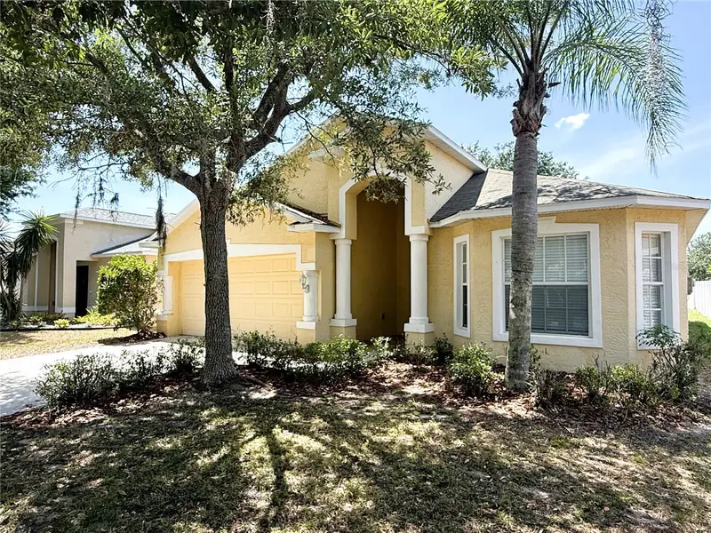 2345 Roanoke Springs Dr, FL