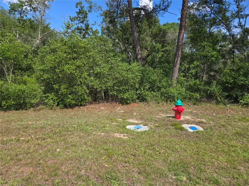 00 Marion Oaks Blvd, FL