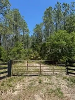 Ne Hwy 353, FL