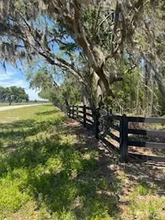 Ne Hwy 353, FL