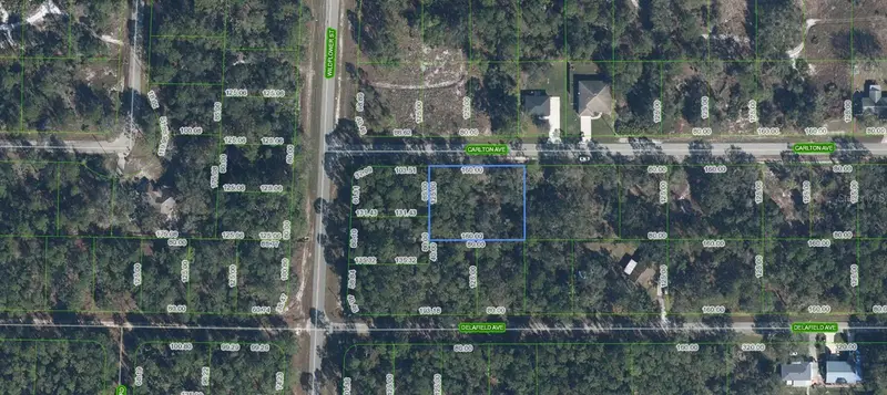3154 Carlton Ave, FL