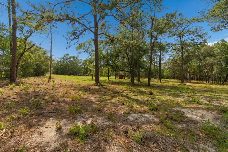 Grove Rd, FL