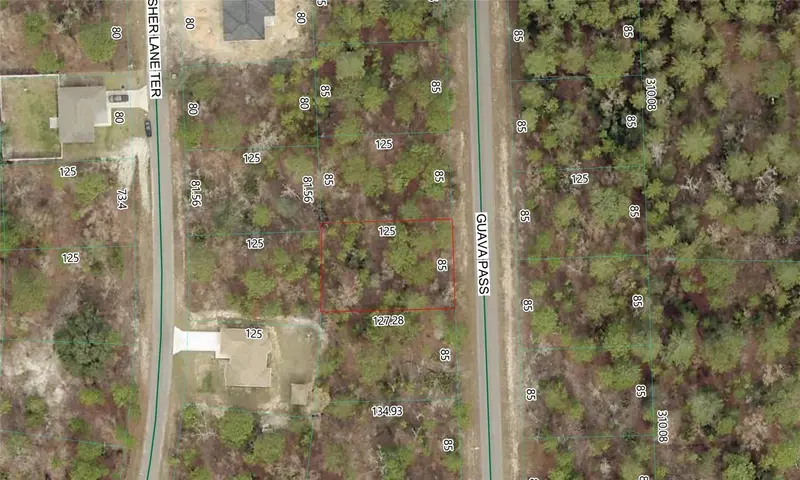 Guava Pass Lot 10, FL