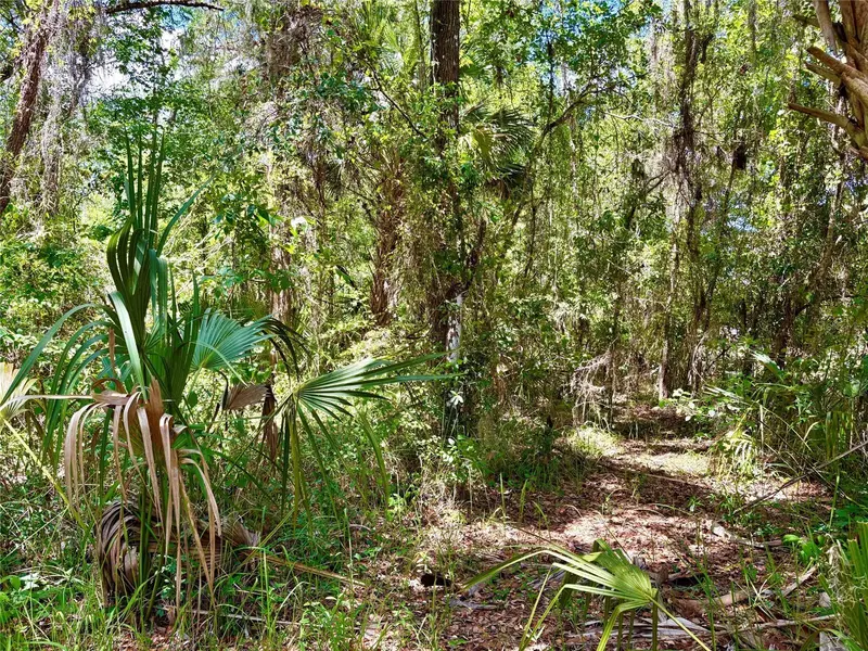 Old Crystal River Rd, FL