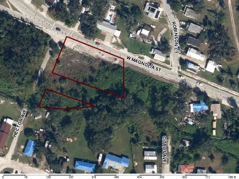 821 W Magnolia St, FL