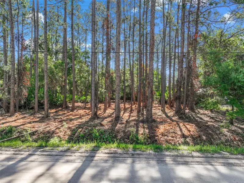 2679 Forest Park St, FL