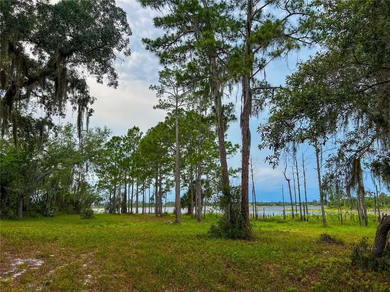 2332 Mitchell Island Rd, FL