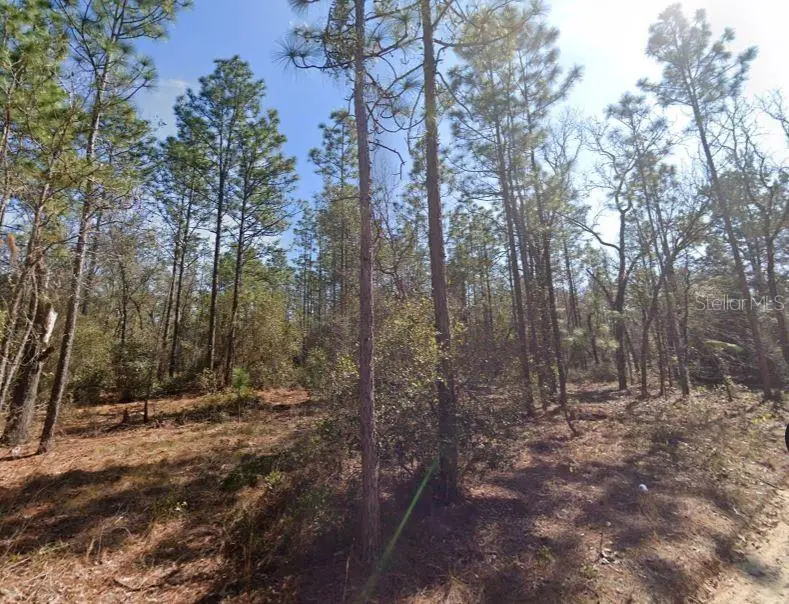 Hills Rd, FL