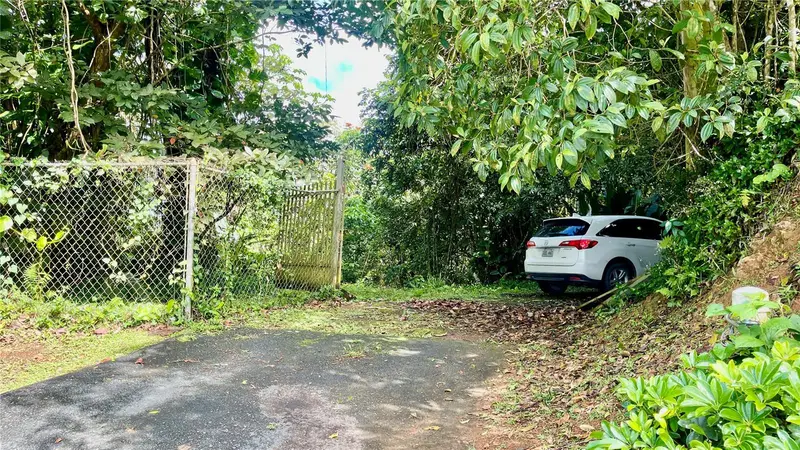 718 Bo. Pasto Rd, PR