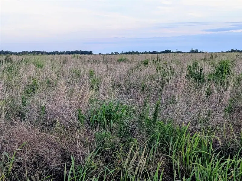 Tom Bryan Rd, FL