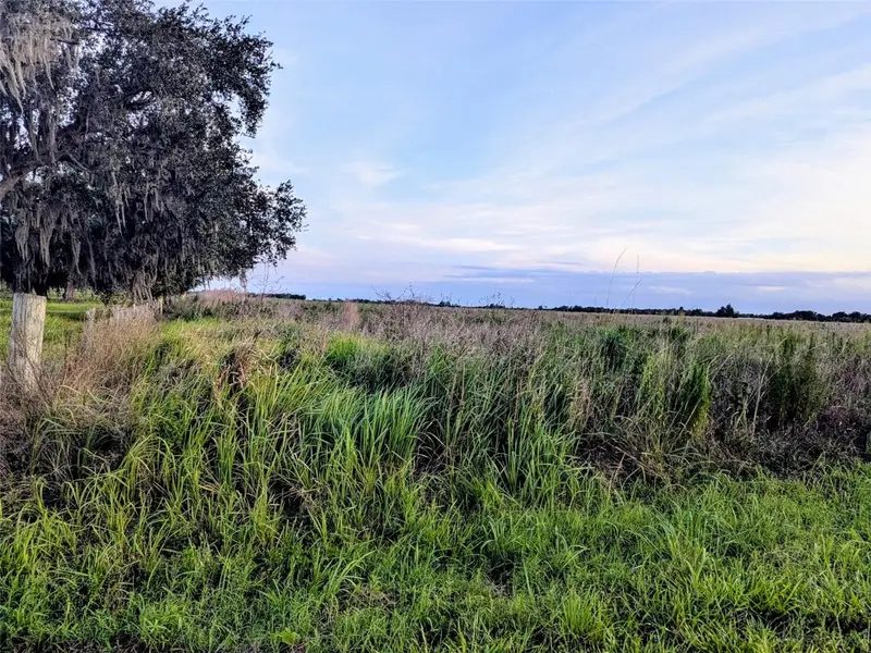 Tom Bryan Rd, FL