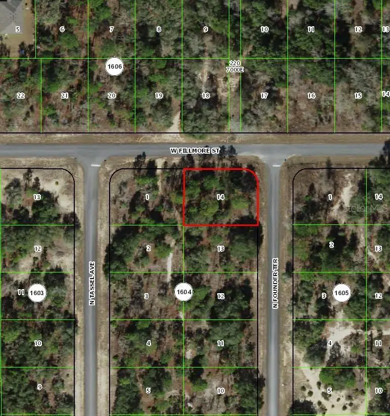 6716 N Founder Ter, FL