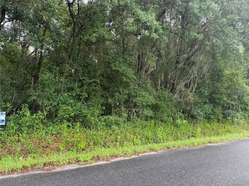 241 Dog Branch Rd, FL