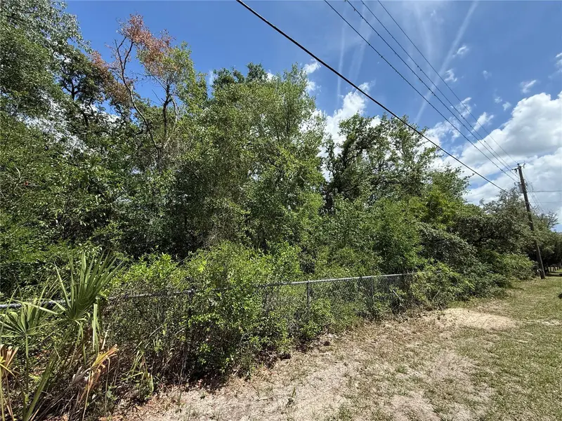 11748 Turkey Ln, FL