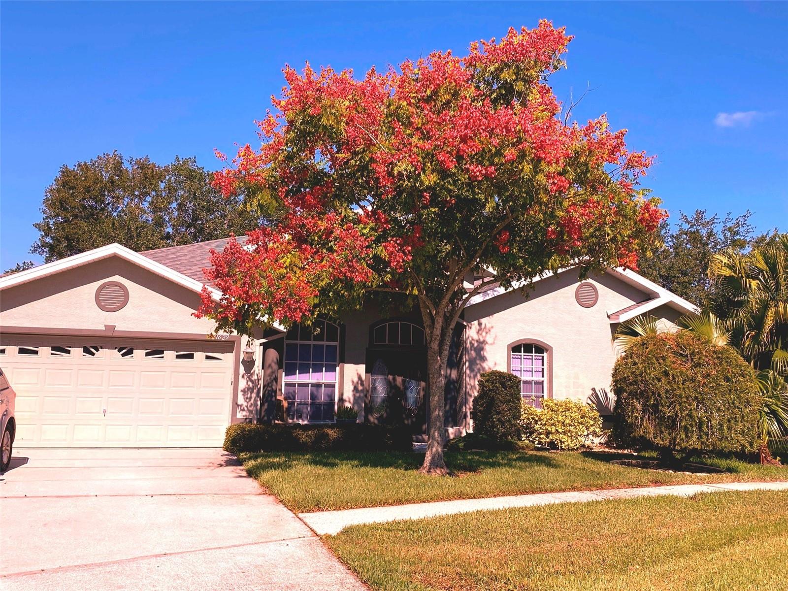 21629 Silver Bay Pl, FL