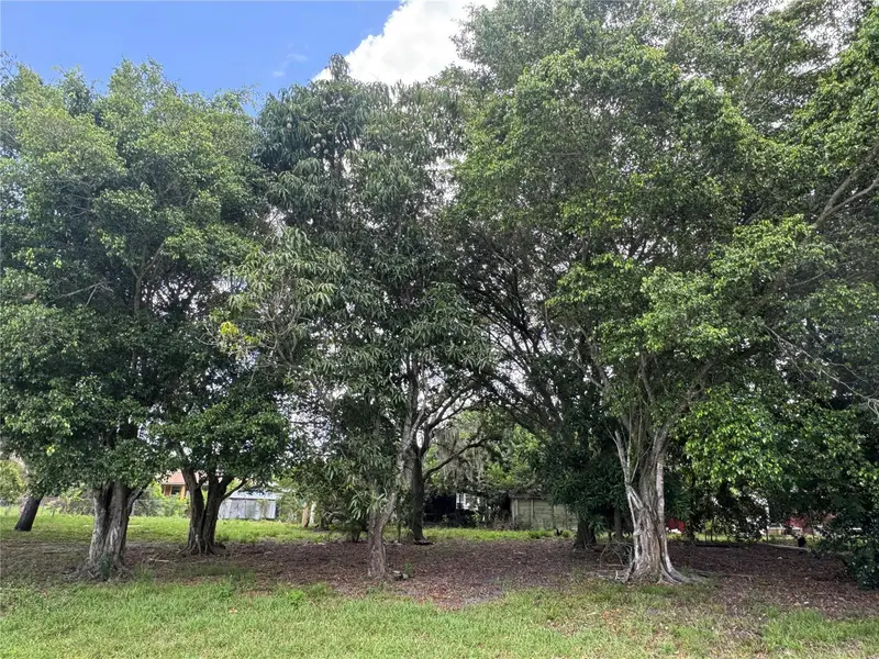 Washington Ave, FL