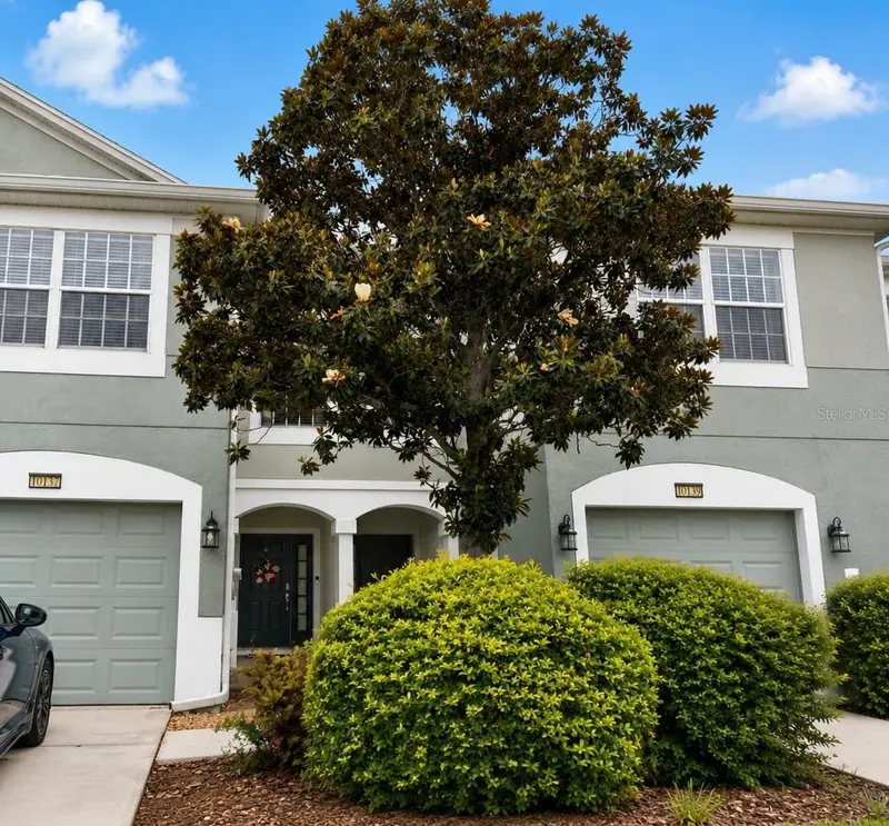 10137 Pink Palmata Ct, FL