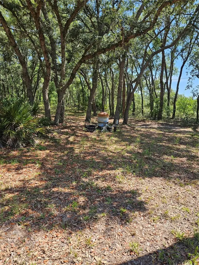 4300 W Roadrunner Ct, FL