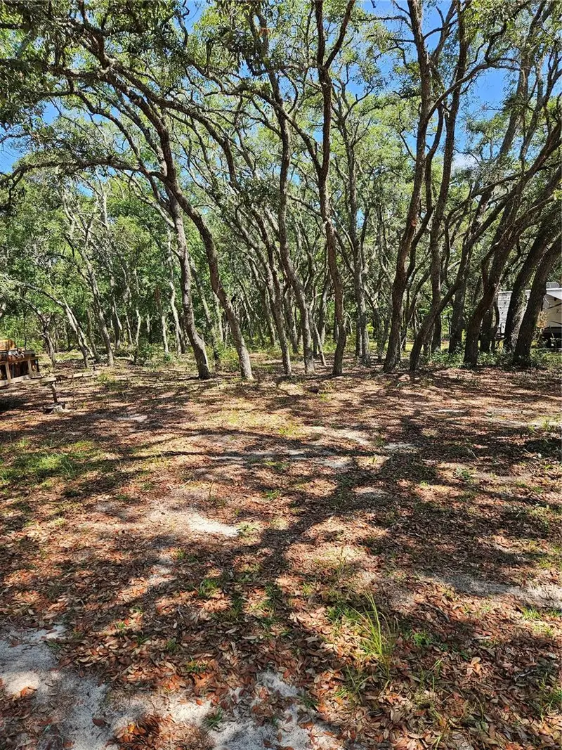 4300 W Roadrunner Ct, FL