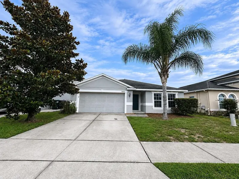 10816 Cabbage Tree Loop, FL