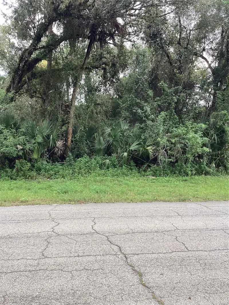 March Ln, FL