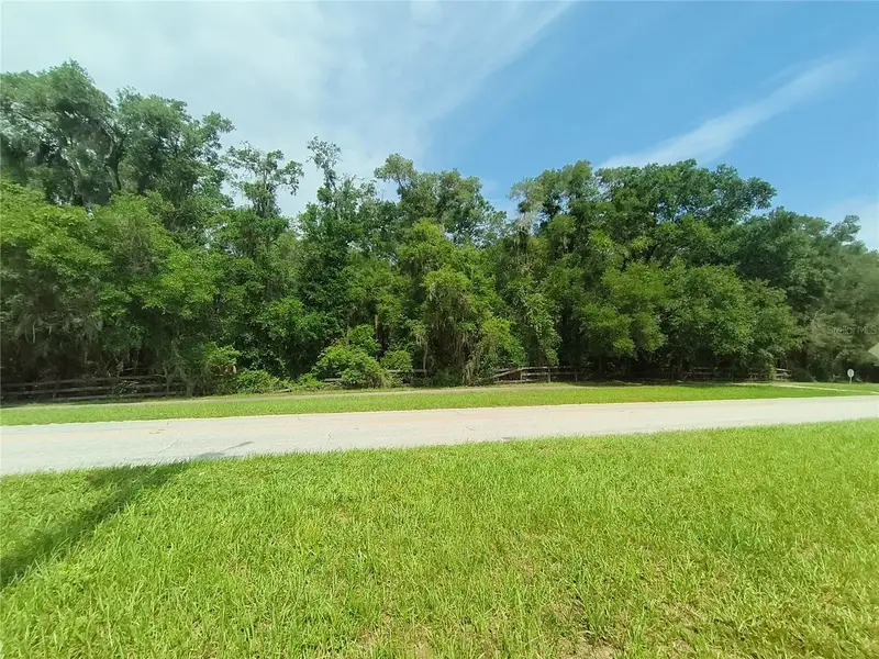 Seabiscuit Trail, FL