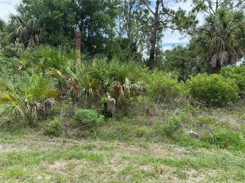 22404 Seyburn Ter, FL