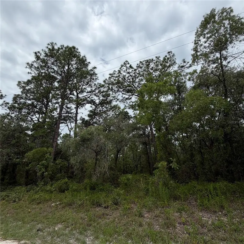 18011 Nutcracker Rd, FL