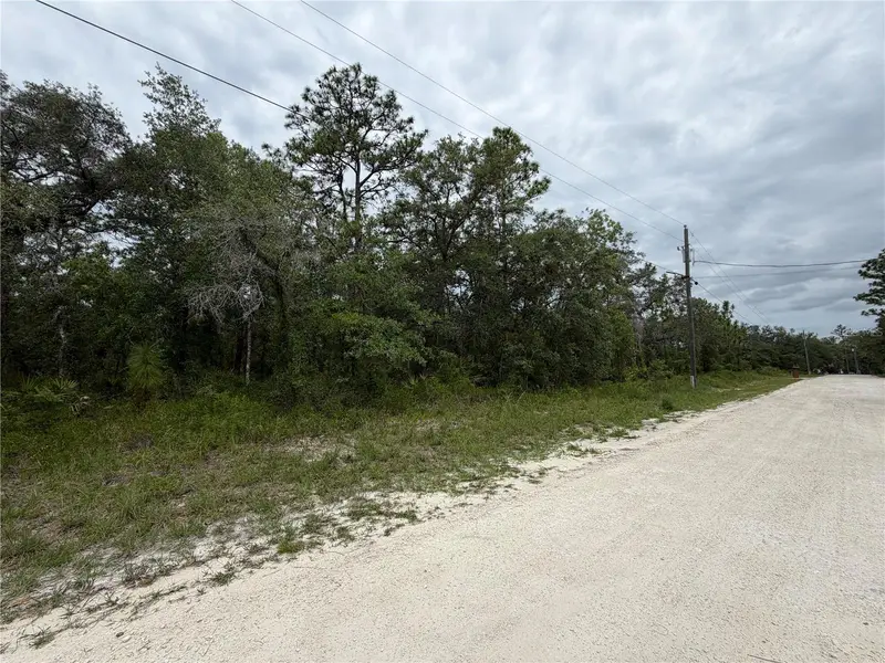 18011 Nutcracker Rd, FL